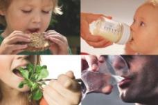 Contaminants and residues in foods to be tackled in 8th Fresenius conference