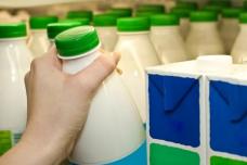 High prices expected for dairy in 2014