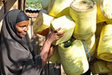 Kenyan livestock programme gets USAID, ACDI/VOCA support