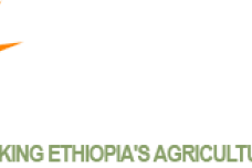 Horizon Plantations Plc to boost coffee operations