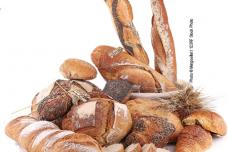 Chia boosts nutritional profile of bread