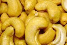 WB boosts Guinea-Bissau's agricultural sector
