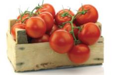 LycoRed develops slow-release genistein supplement