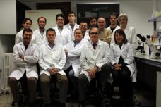 Skin grown from umbilical cord stem cells