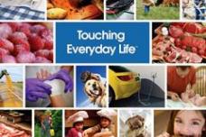 Five packaging companies in new merger