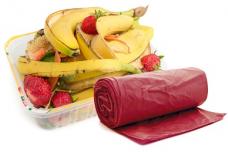 K 2013: Perstorp to launch technology for bioplastics
