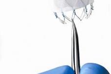 LAA CLOSURE DEVICE