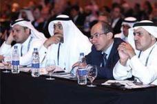 Gulf's annual resins production to rise 73% from 2012-2015