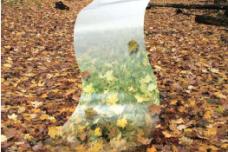 Bioplastics as forward-looking option
