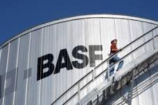 BASF and Yara to build ammonia plant in Texas