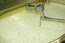 New electromembrane process for whey proteins