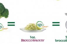 SGS glucoraphanin now available from Connell Bros