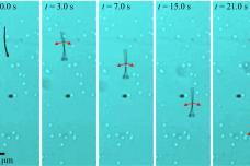 Microrobots have future in targeted therapy