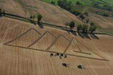 Agriculture – a growing sector