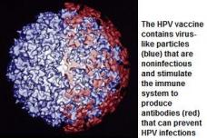 The case for HPV vaccination