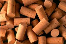Preserving the cork oak forests