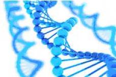 The promise – and perils – of personalized medicine