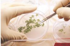 Syngenta opens high-tech crop lab