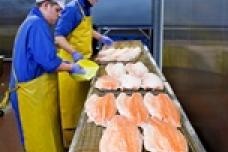 China takes to Scottish seafood
