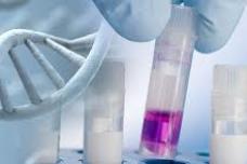 Faster revenue growth seen for molecular IVD tests