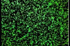 DuPont, AB-Biotics announce agreement