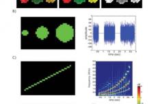 Device enables the blind to ‘see’ colours, shapes