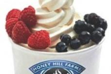 Froyo has five probiotic strains