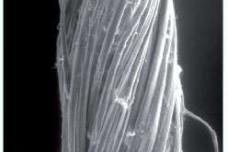 Flax and hemp fibres: A natural solution for the composite industry