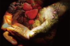 Committed to feeding Africa