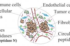 Blood test for early detection of breast cancer