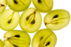 Indena’s Enovita helps maintain blood pressure