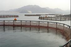 Asmak to strengthen processed food portfolio