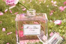 LVMH increases revenue in 2013