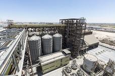 ADM and Cargill launch SoyVen