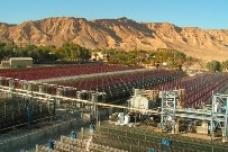 Algatech joins initiative to develop new food sources from microalgae