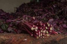 Arjuna uses sustainable Amaranth in India
