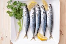 Arjuna to launch one-shot, high Omega-3 set
