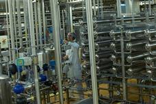 Zero waste in milk production