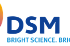 DSM to acquire 19% interest in Andre Pectin