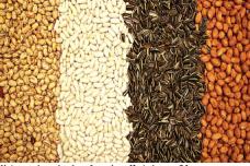 SIAL Middle East builds regional food dynamism