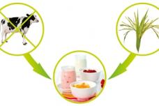 ‘Free-from’ diet lands in Asia