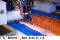 Marel exhibits at AquaSur