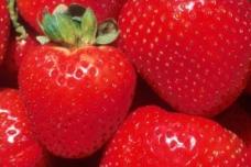Strawberries may help lower cholesterol