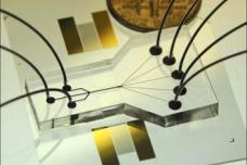 Cell-sorting chip uses sound