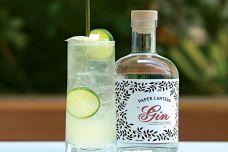 Award-winning gin celebrates the Asian spirit