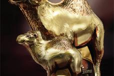 Bringing camel milk to the world