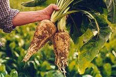 Increase fibre in children’s food