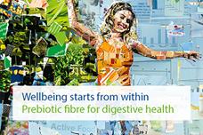 Webinar on digestive health