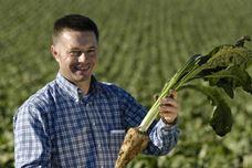 Health update: Benefits of chicory root fiber