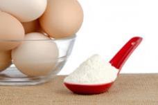 Enzymes that make better protein hydrolysates